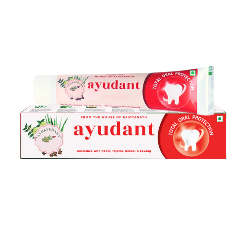 Baidyanath Ayurvedant Ayudant Toothpaste 100g – Herbal Oral Care for Stronger Teeth & Healthier Gums
